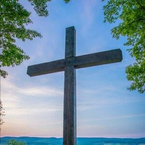 Meet your Posher, Kimbra